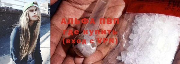 сатива Приозерск