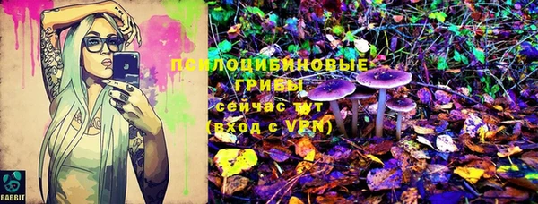гашик Протвино