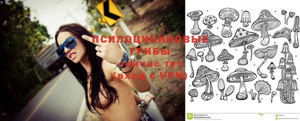 гашик Протвино