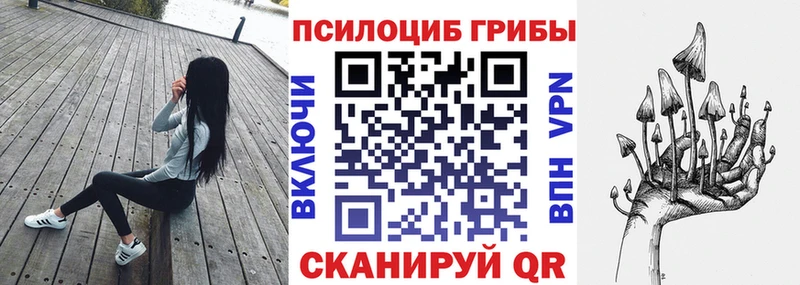Псилоцибиновые грибы Psilocybine cubensis  Купить где  Черняховск 